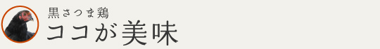 さつま地鶏　ココが美味