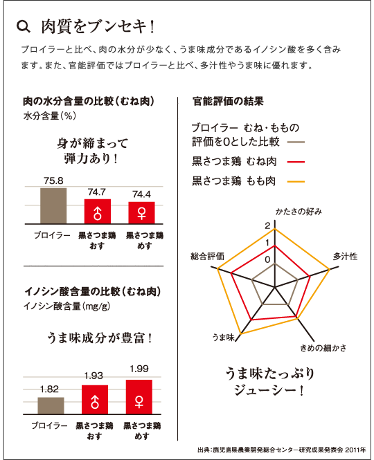 黒さつま鶏の肉質を分析